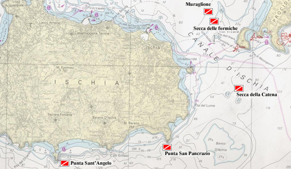 Immersioni subacquee a Ischia (Regno di Nettuno)